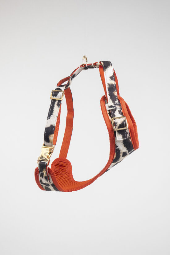 LEO Harness