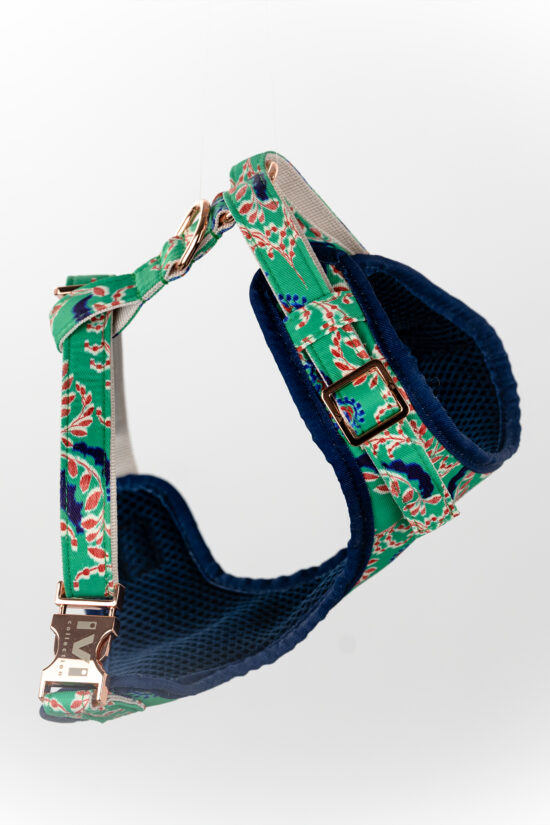 PALI Harness
